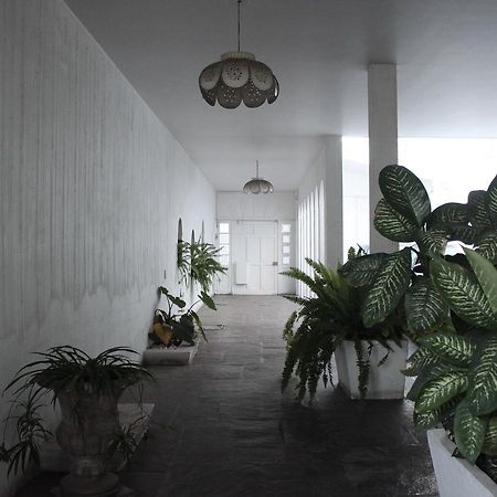 Allende 304 Vandrehjem Aguascalientes Eksteriør billede